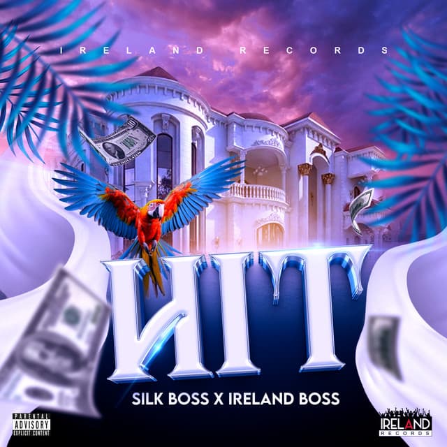 Hit cover art