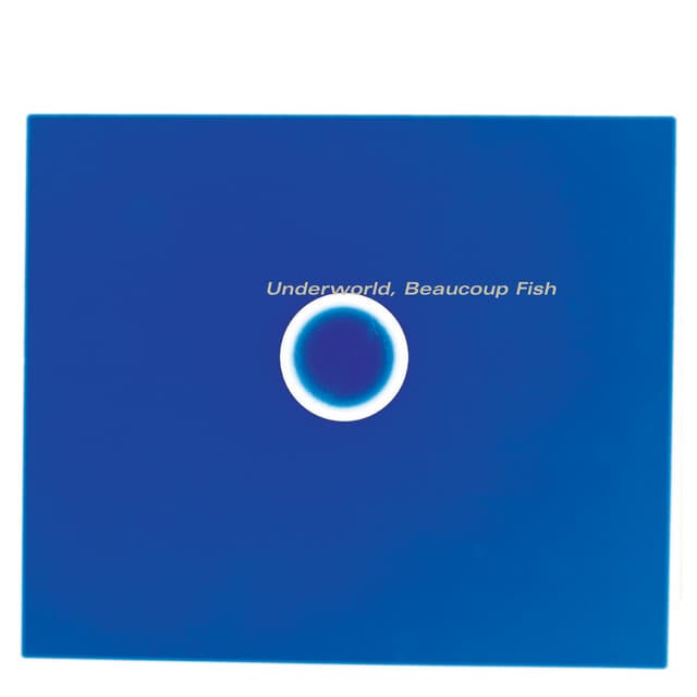 Beaucoup Fish (Remastered) cover art