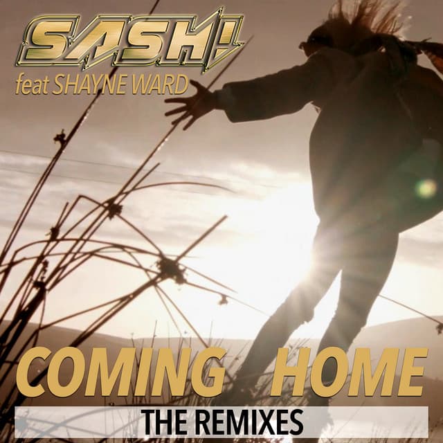 Coming Home - Original Deep cover art