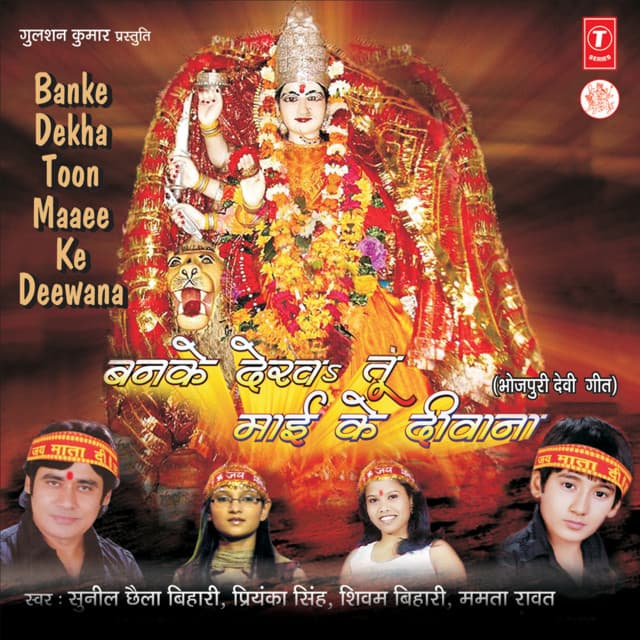 Jhoola Tu Lagaa Da cover art