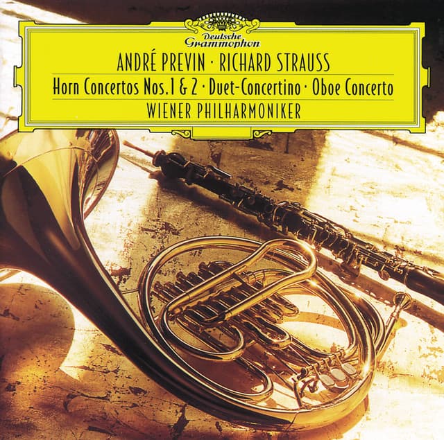 Concerto for Oboe and Small Orchestra in D Major, AV. 144, TrV. 292: Allegro moderato cover art