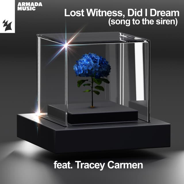 Tracey Carmen