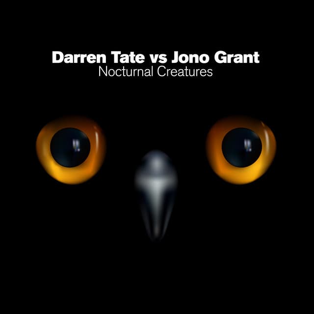 Nocturnal Creatures - Sassot & David Con G Remix cover art