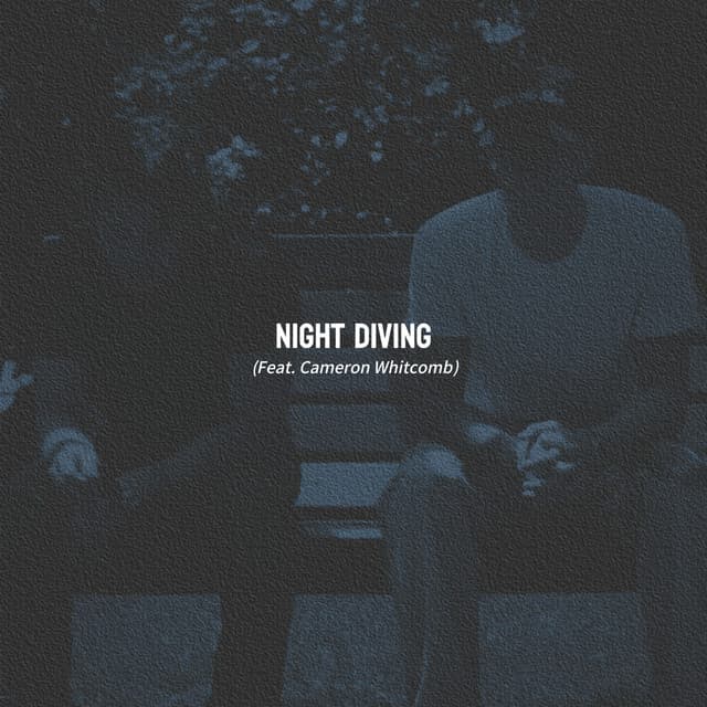 Night Diving (feat. Cameron Whitcomb) cover art