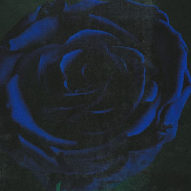 Ghost - Acoustic cover art
