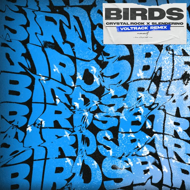 Birds - Acapella cover art