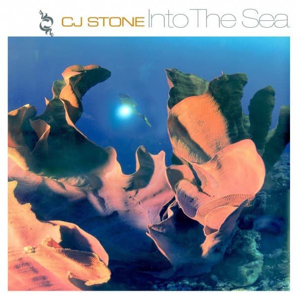 Into The Sea (Marc et Claude's Think Different Remix) cover art