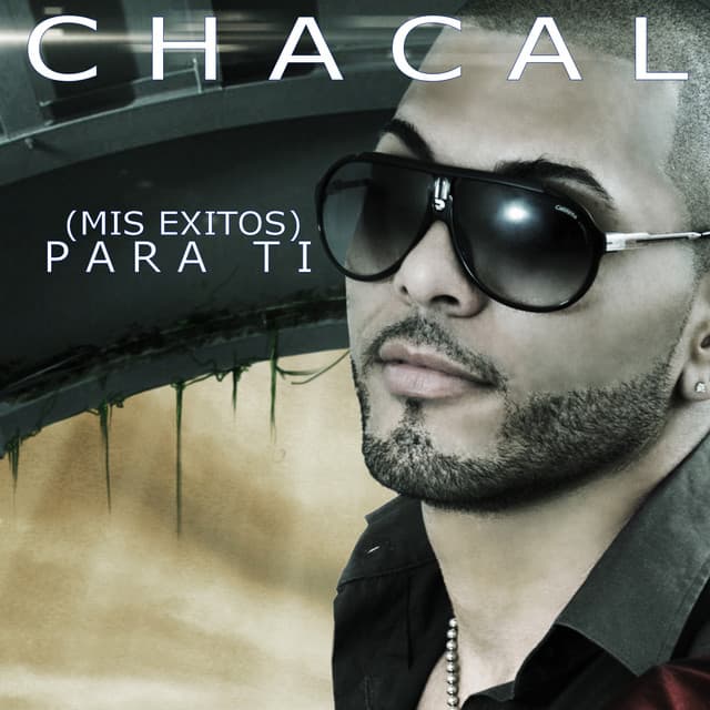 (Mis Exitos) PARA TI cover art