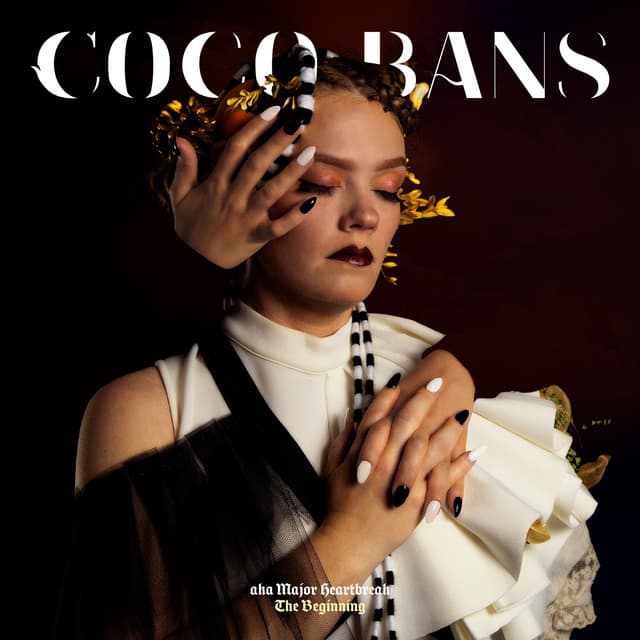 Being Brave Is Stupid cover art