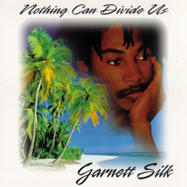 Nothing Can Divide Us cover art