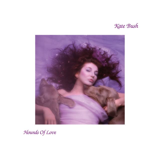 Hounds of Love (2018 Remaster) cover art
