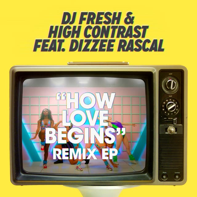 How Love Begins (feat. Dizzee Rascal) - Delta Heavy's 2003 Remix cover art