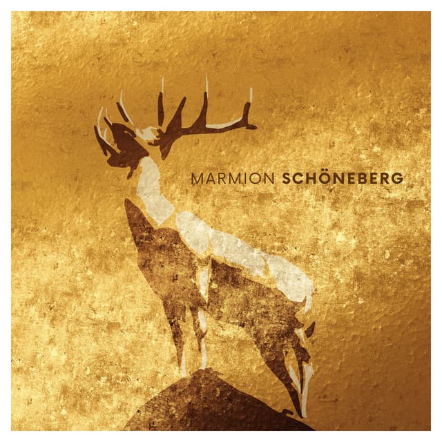 Schöneberg - Roberto Rodriguez Suvilahti Remix cover art