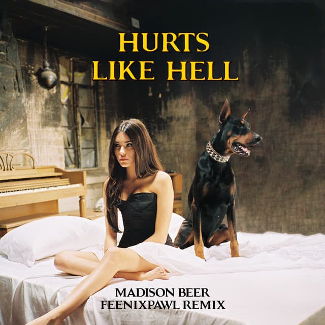 Hurts Like Hell - Feenixpawl Remix cover art
