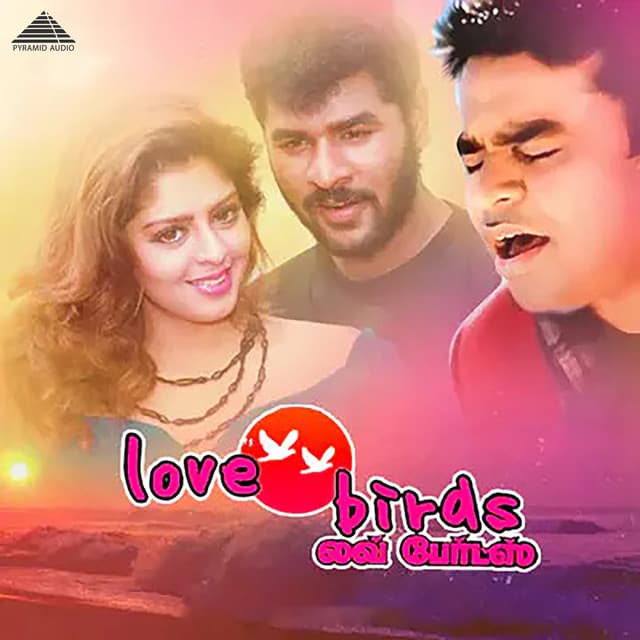 Samba Samba cover art