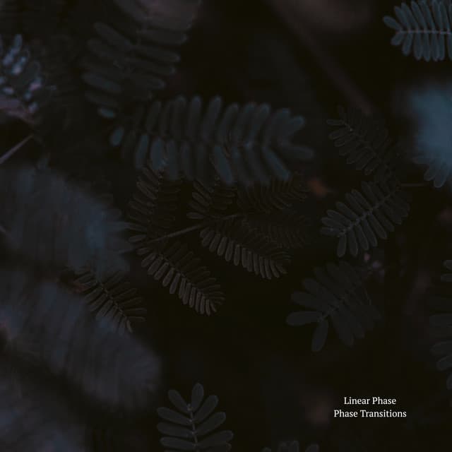 Phase Transitions cover art