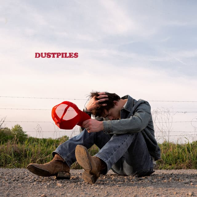 The Dress cover art