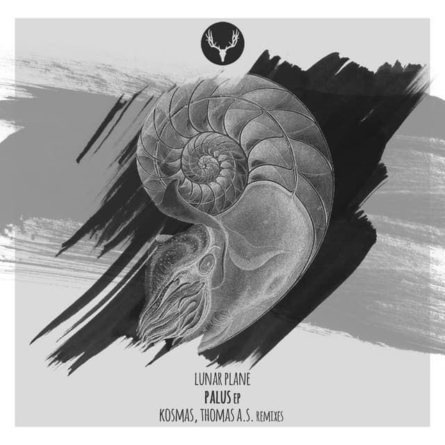 Palus - Thomas A.S. Rework cover art