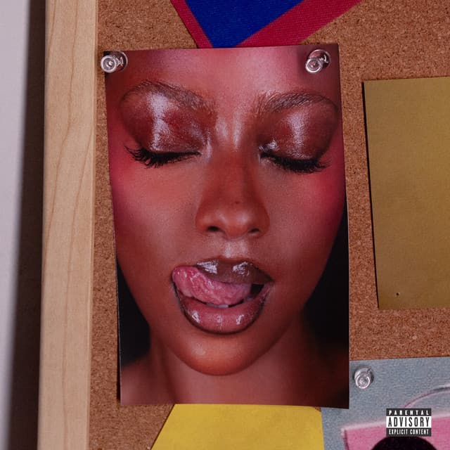Bitch In Ibiza cover art