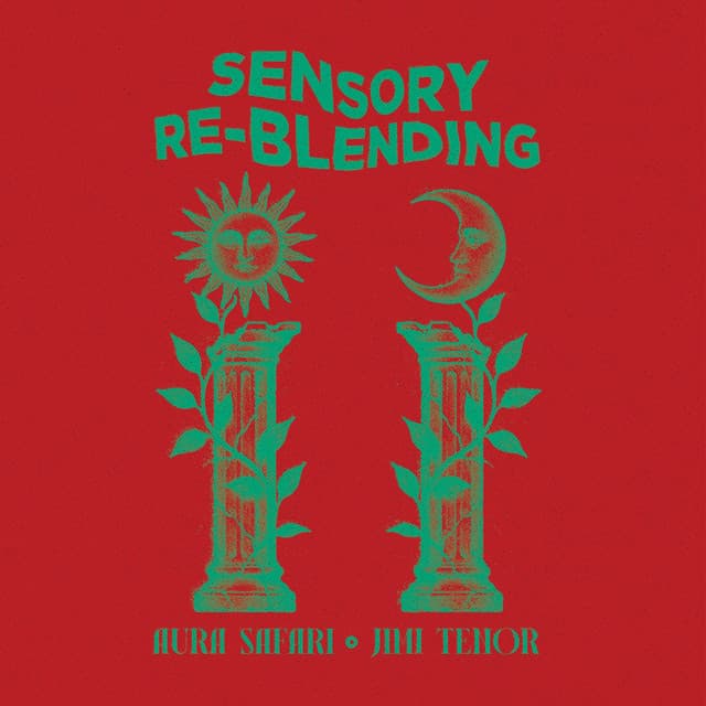 Sensory Re-Blending cover art