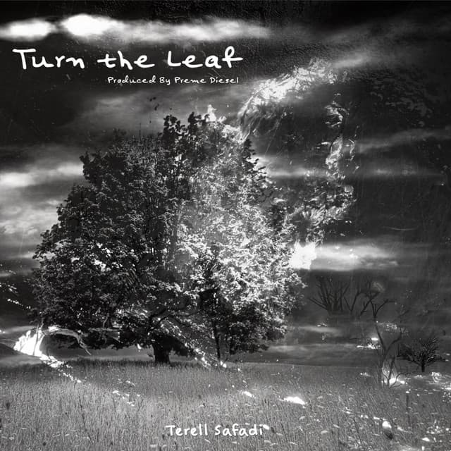 Turn The Leaf cover art