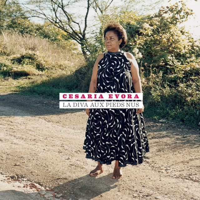 Destino Negro cover art