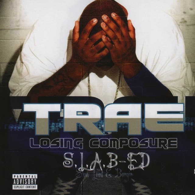Pimpin' - S.L.A.B.ed cover art