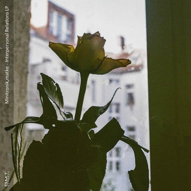 Morning In The House - Original Mix cover art