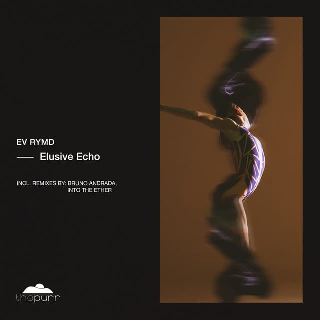 Elusive Echo - Into The Ether Extended Remix cover art