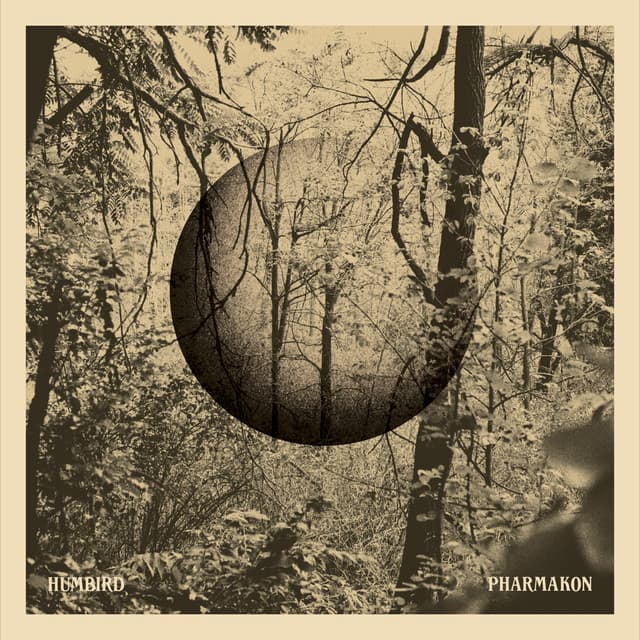 Low Tide cover art