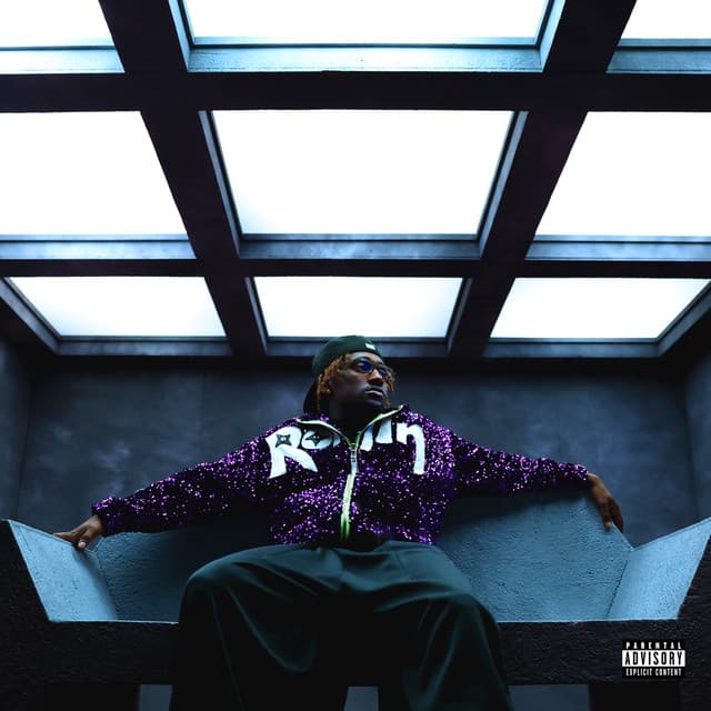 platinum rose cover art