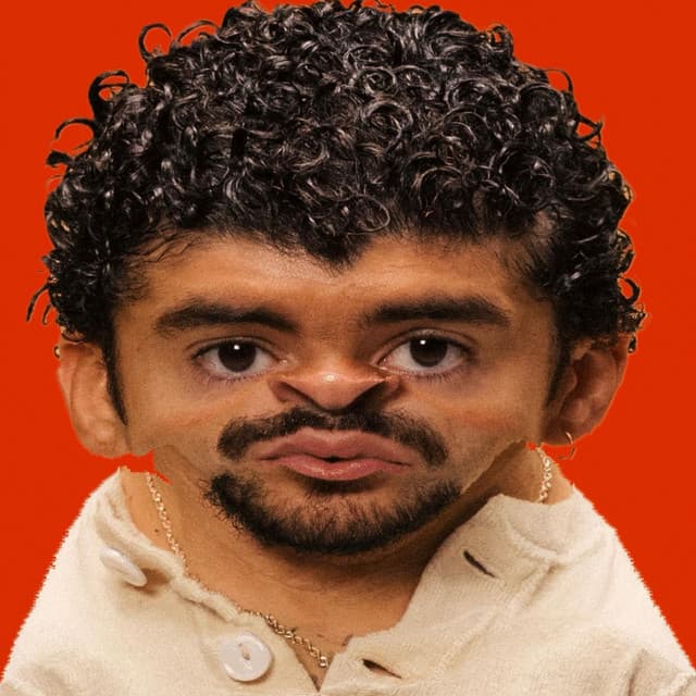 PIToRRO DE COCO cover art