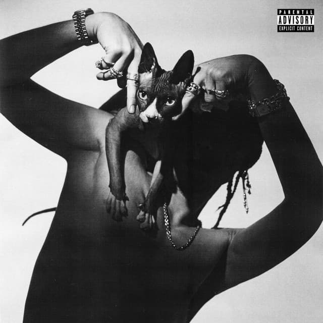 HEADLINER (Deluxe) cover art