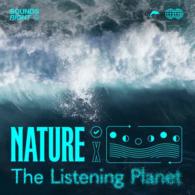 Seascape Symphony cover art