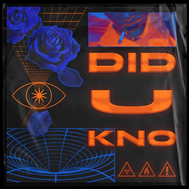 did u kno?? cover art