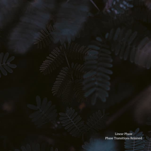 Phase Transitions - Remixed cover art