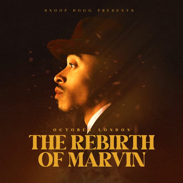 The Rebirth of Marvin cover art