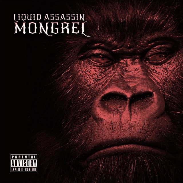 More Than Music (feat. Jahred) cover art