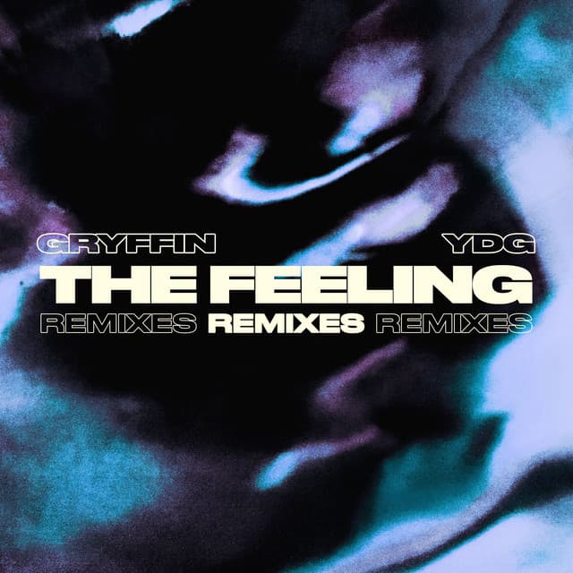 The Feeling - Frank Walker Remix cover art