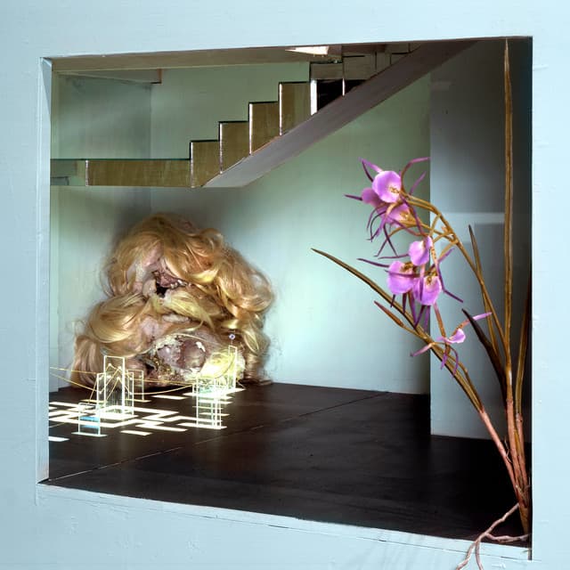 Bright-eyed Hunger cover art
