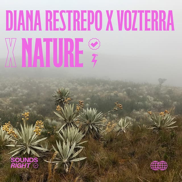 El Páramo, Permission to Record cover art
