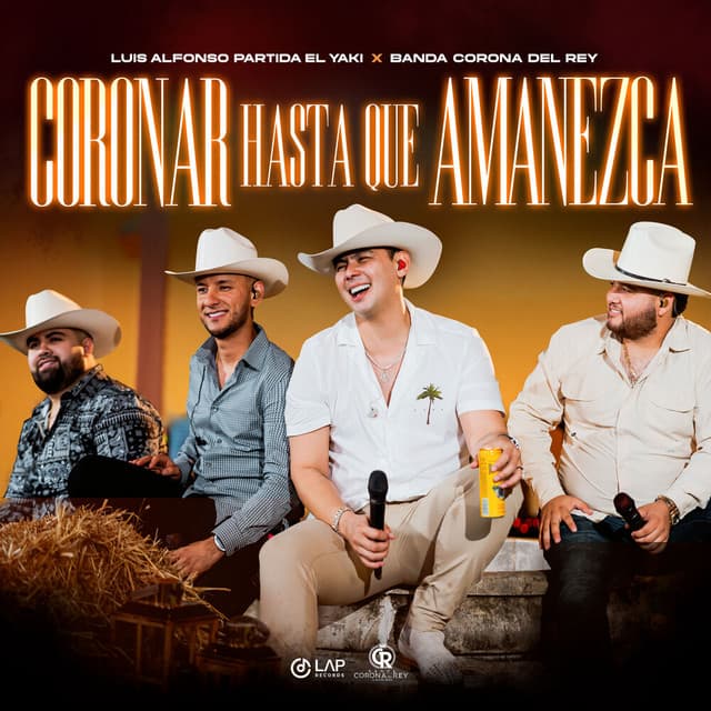 Tu Ingratitud (En Vivo) cover art