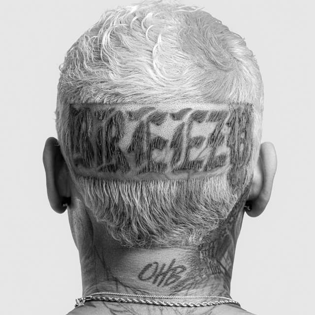 C.A.B. (Catch A Body) (feat. Fivio Foreign) cover art