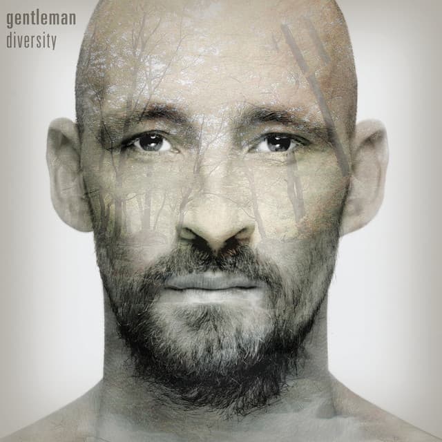 Diversity (Deluxe Bonus Version) cover art