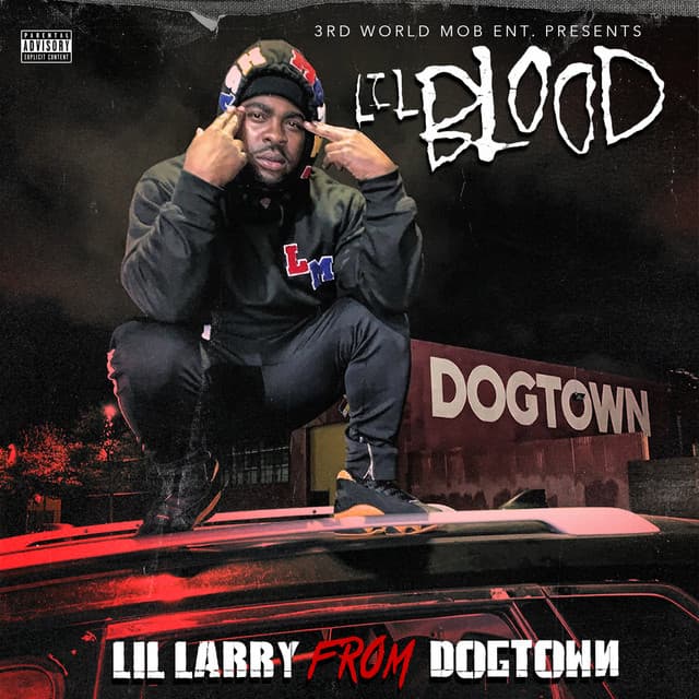 P&M Liquors cover art