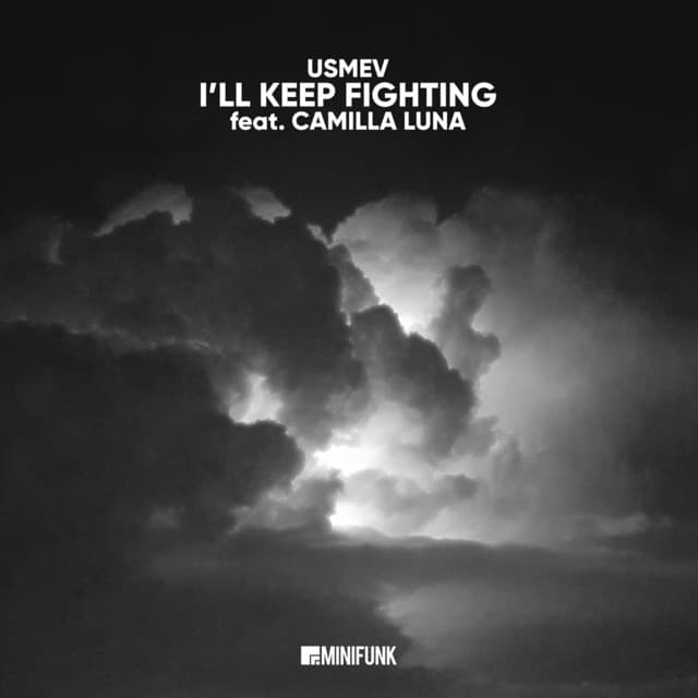 I'll Keep Fighting - Original cover art