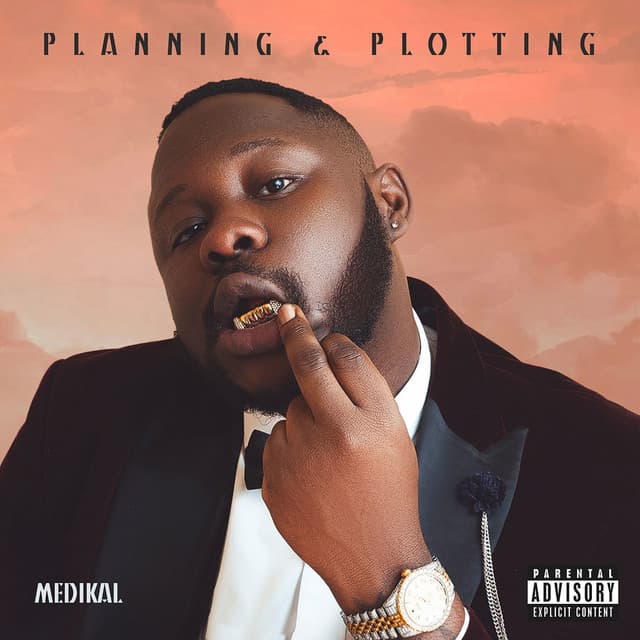 Provider (feat. Ofori Amponsah) cover art