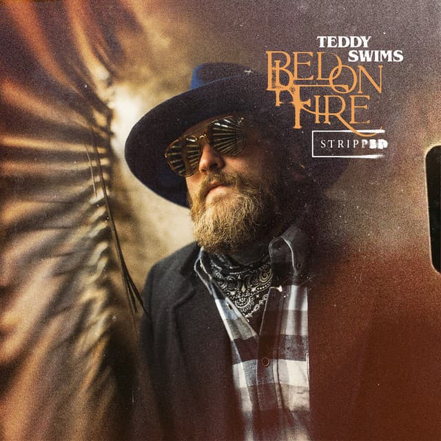 Bed on Fire - Stripped cover art