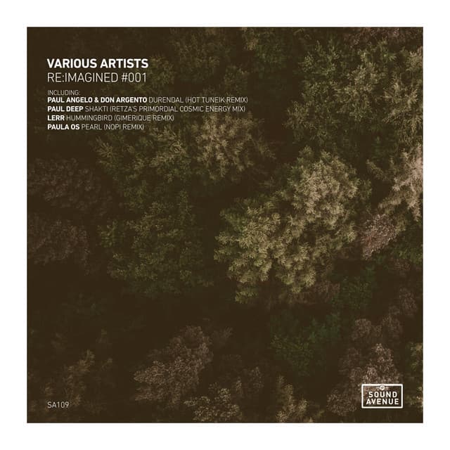 Hummingbird - Gimérique Remix cover art