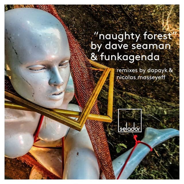 Naughty Forest - Nicolas Maseyeff Remix cover art